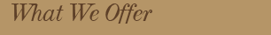 wright salon products