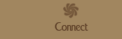 contact the wright salon